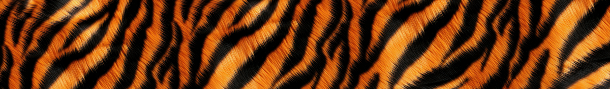 Big Cats