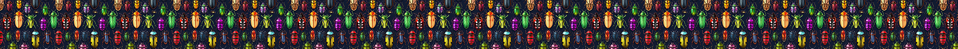 Beetles