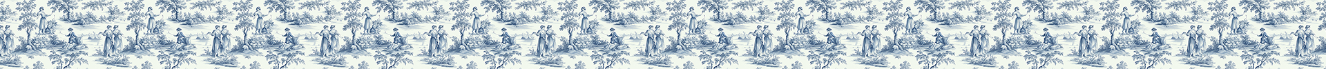 Blue Country Toile