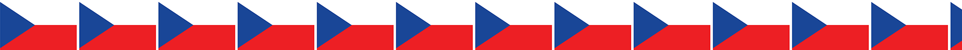 Czech Republic Flag