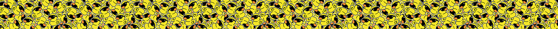 Cool Ducks
