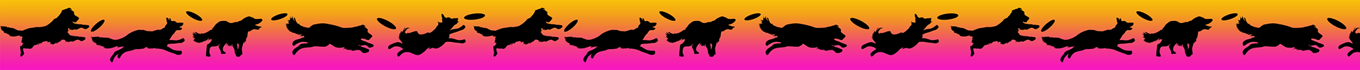 Disc Dogs - Pink