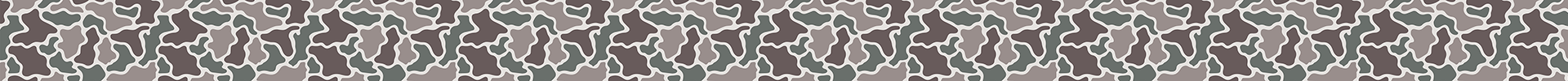 Duck Camo 2