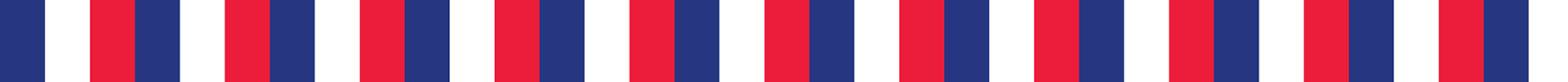 France Flag