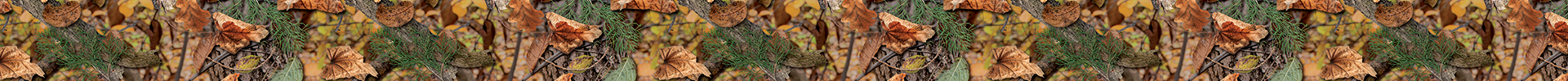 Fall Camo