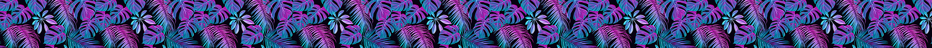 Fuchsia Palms