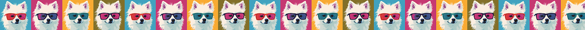 Japanese Spitz