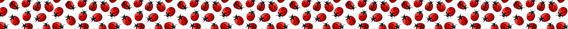 Ladybugs