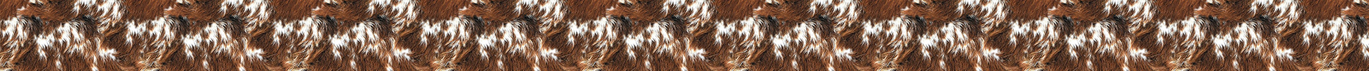 Longhorn Cowhide