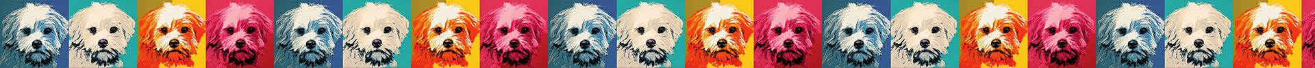 Maltese