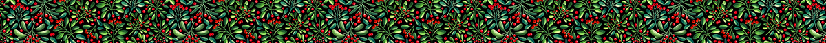 Mistletoe and Berries