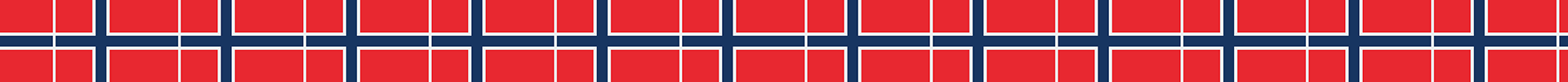 Norway Flag