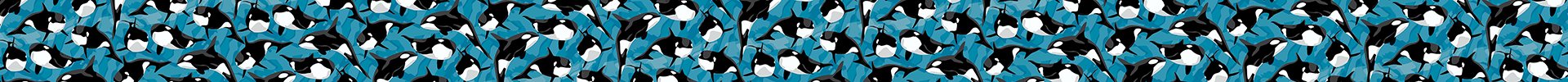 Orcas