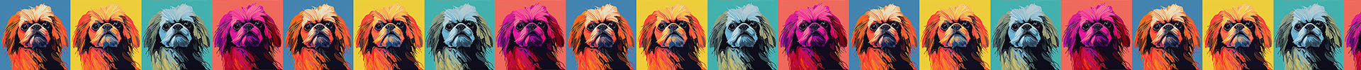 Pekingese