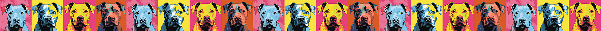 Pitbull