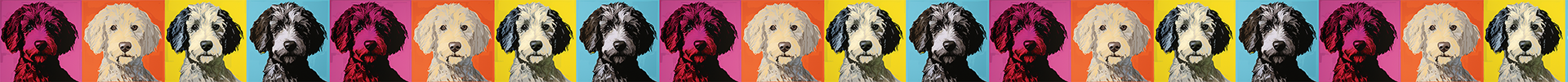 Portuguese Water Dog