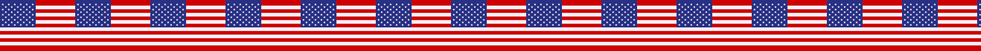 USA Flag