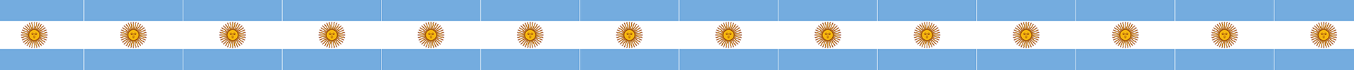 Argentina Flag
