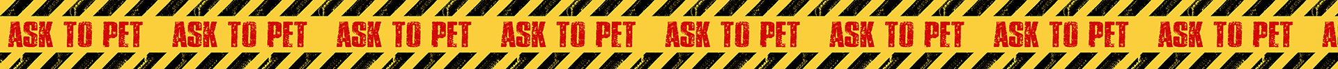 Caution Tape - ASK TO PET - RED