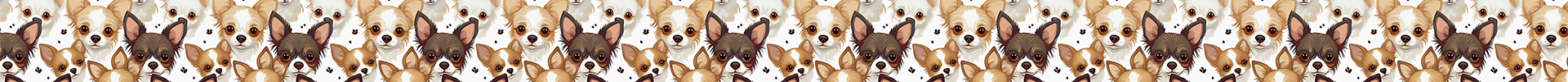 Chihuahuas