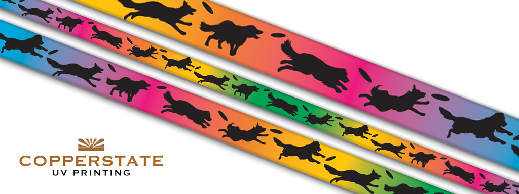 Disc Dogs - Rainbow