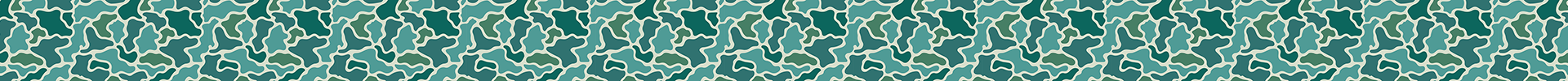 Duck Camo 14