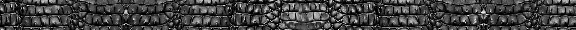 Grey Croc