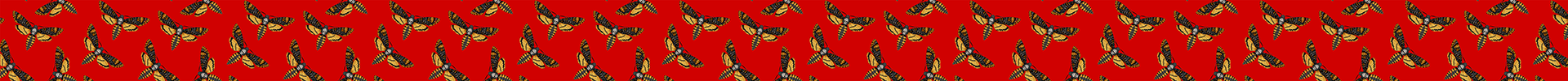 Hawk Moth