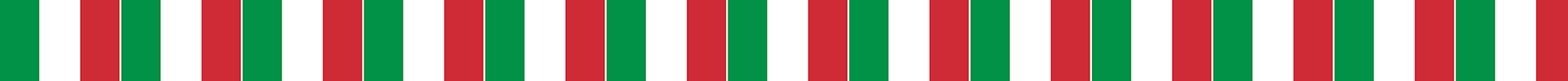 Italy Flag