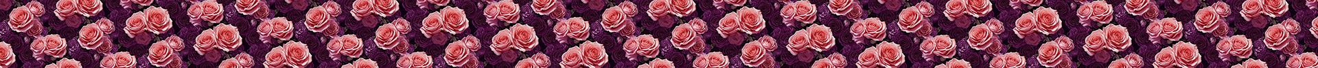 Pink Roses
