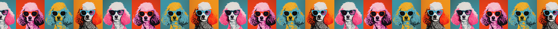 Poodle