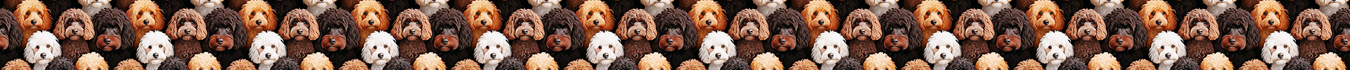 Poodles