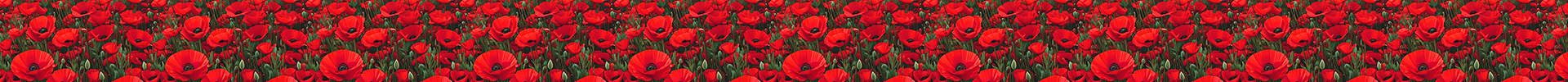Poppies
