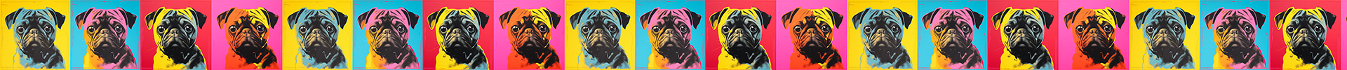Pug
