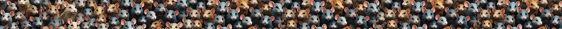 Rats