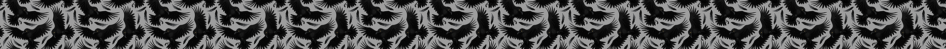 Raven