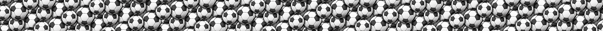 Soccer Balls