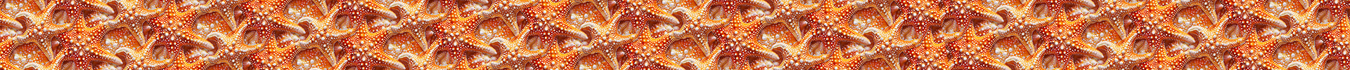 Starfish