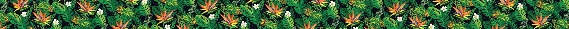 The Tropics