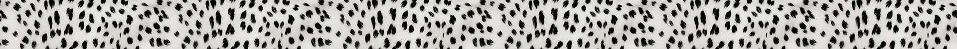 White Leopard