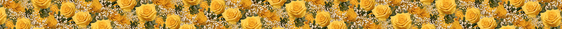 Yellow Roses